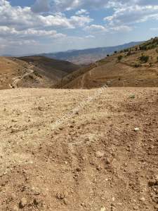 Siirt Tillo'da Fakirullah Mah Satılık 14 Dönüm Tarla 14