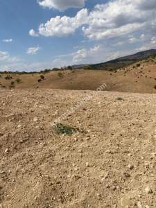 Siirt Tillo'da Fakirullah Mah Satılık 14 Dönüm Tarla 8