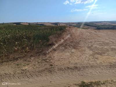 Tekirdağ Hayrabolu Emiryakup Mahallesi Satılık Tarla 11