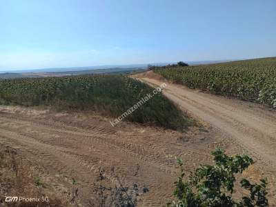 Tekirdağ Hayrabolu Emiryakup Mahallesi Satılık Tarla 1