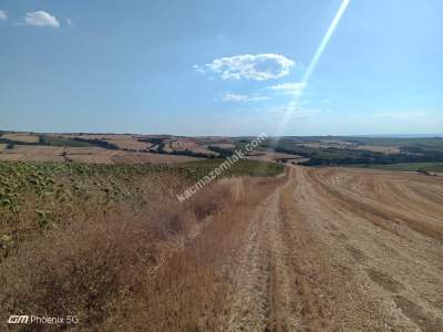 Tekirdağ Hayrabolu Emiryakup Mahallesi Satılık Tarla 9