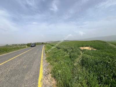 Tekirdağ Malkara Sağlamtaş Köyü Satılık Tarla 1