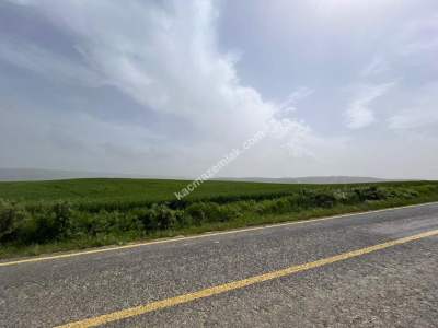 Tekirdağ Malkara Sağlamtaş Köyü Satılık Tarla 6