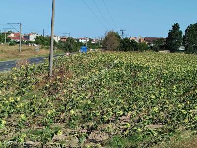 Tekirdağ Muratlı Fatih Mahallesinde Satılık Tarla 6