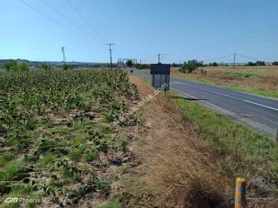 Tekirdağ Muratlı Fatih Mahallesinde Satılık Tarla 9