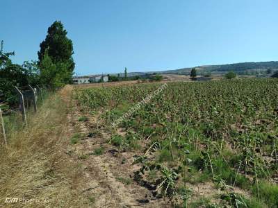 Tekirdağ Muratlı Fatih Mahallesinde Satılık Tarla 12