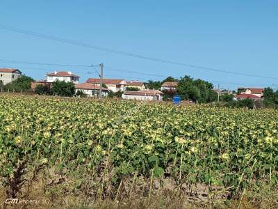 Tekirdağ Muratlı Fatih Mahallesinde Satılık Tarla 3