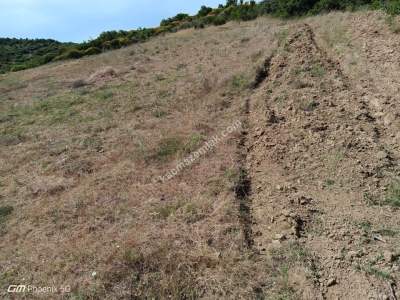 Tekirdağ Şarköy Çengelli Mahallesi Satılık Tarla 6