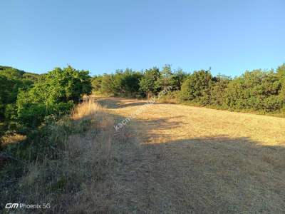 Tekirdağ Şarköy Çengelli Mahallesi Satılık Tarla 3