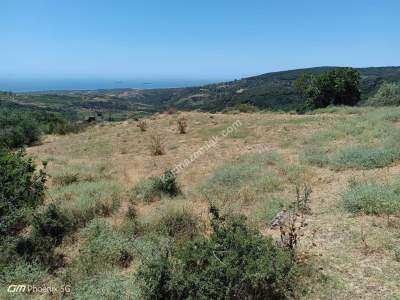 Tekirdağ Şarköy Çengelli Mahallesi Satılık Tarla 8