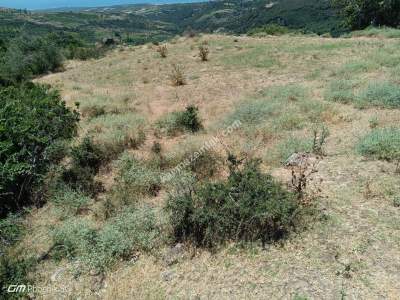 Tekirdağ Şarköy Çengelli Mahallesi Satılık Tarla 9