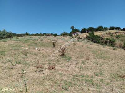 Tekirdağ Şarköy Çengelli Mahallesi Satılık Tarla 4