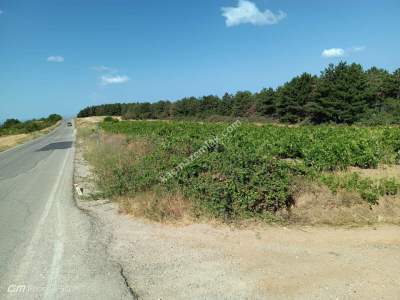 Tekirdağ Şarköy Çengelli Mahallesi Satılık Tarla 9