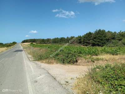 Tekirdağ Şarköy Çengelli Mahallesi Satılık Tarla 1