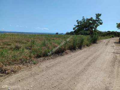 Tekirdağ Şarköy Eriklicede Satılık İmara Komşu Tarla 7