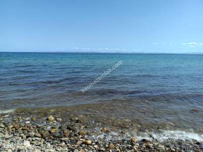 Tekirdağ Şarköy Eriklicede Satılık İmara Komşu Tarla 1