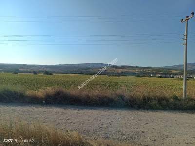 Tekirdağ Şarköy Eriklice Mahallesi Satılık Arsa 1