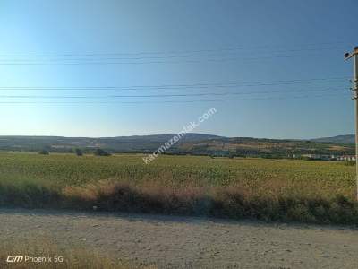 Tekirdağ Şarköy Eriklice Mahallesi Satılık Arsa 2