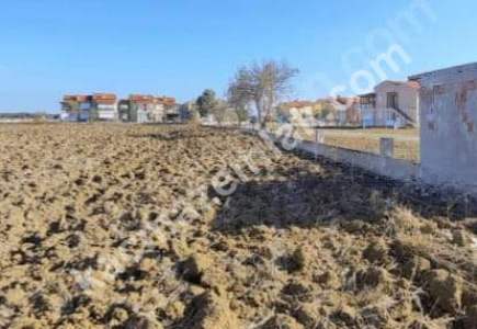 Tekirdağ Şarköy Eriklice Mahallesi Satılık Arsa 9