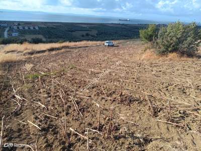 Tekirdağ Şarköy Eriklice Mahallesi Satılık Tarla 6