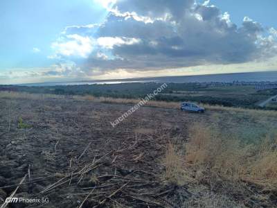 Tekirdağ Şarköy Eriklice Mahallesi Satılık Tarla 1