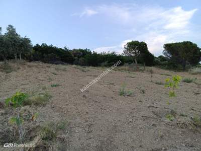 Tekirdağ Şarköy Gaziköy Mahallesi Satılık Tarla 5