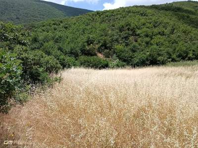 Tekirdağ Şarköy Gaziköy Mahallesi Satılık Tarla 5