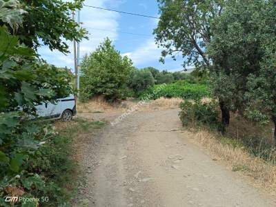 Tekirdağ Şarköy Gaziköy Mahallesinde Satılık Üzüm Bağı 1