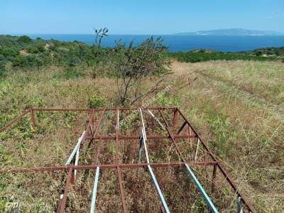 Tekirdağ Şarköy Gaziköy Mahalesi Satılık Üzüm Bağı 9