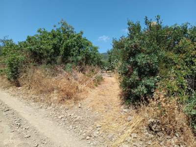 Tekirdağ Şarköy Gaziköy Mahallesi Satılık 3