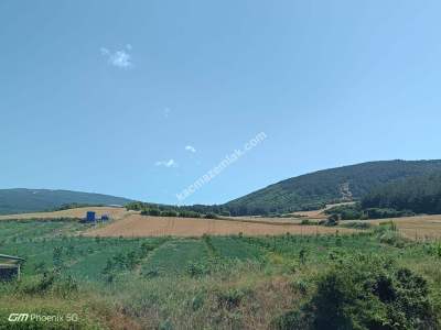 Tekirdağ Şarköy Gölcük Mahallesinde Satılık Tarla 1