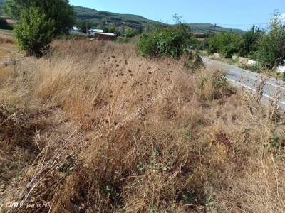 Tekirdağ Şarköy Gölcük Mahallesi Asfalta İmara Sıfır 5