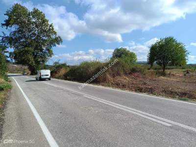 Tekirdağ Şarköy Gölcük Mahallesi Asfalta İmara Sıfır 1