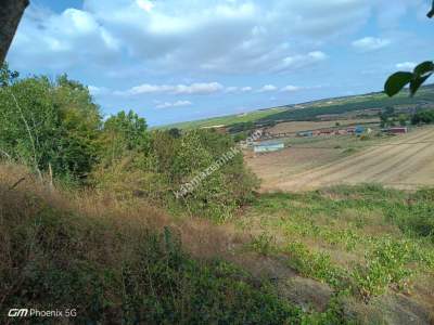 Tekirdağ Şarköy Gölcük Mah. Satılık Köye Yakın Tarla 11