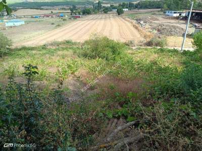 Tekirdağ Şarköy Gölcük Mah. Satılık Köye Yakın Tarla 10