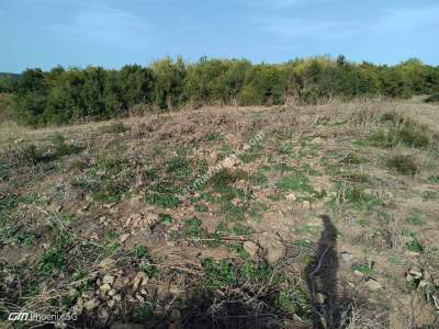 Tekirdağ Şarköy Gölcük Mahallesi Satılık Tarla 4