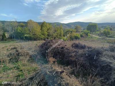 Tekirdağ Şarköy Gölcük Mahallesi Satılık Tarla 2