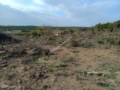 Tekirdağ Şarköy Gölcük Mahallesi Satılık Tarla 5