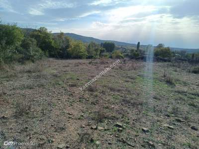 Tekirdağ Şarköy Gölcük Mahallesi Satılık Tarla 7