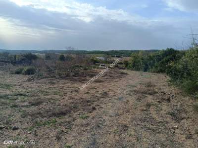 Tekirdağ Şarköy Gölcük Mahallesi Satılık Tarla 8