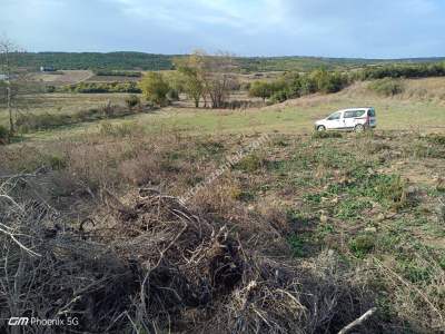 Tekirdağ Şarköy Gölcük Mahallesi Satılık Tarla 6