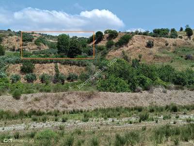 Tekirdağ Şarköy Hoşköy Mahallesi Satılık Tarla Bahçe 3