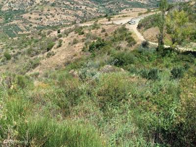 Tekirdağ Şarköy Hoşköy Mahallesi Satılık Tarla 1