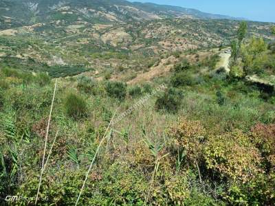 Tekirdağ Şarköy Hoşköy Mahallesi Satılık Tarla 8