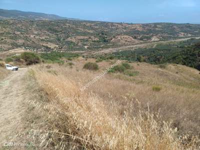 Tekirdağ Şarköy Hoşköy Mahallesi Satılık Tarla 5