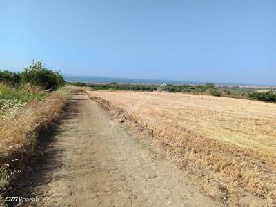 Tekirdağ Şarköy İğdebağları Mahallesi Satılık Tarla 4