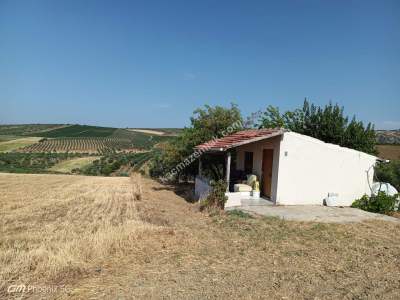 Tekirdağ Şarköy İğdebağları Mahallesi Satılık Tarla 17