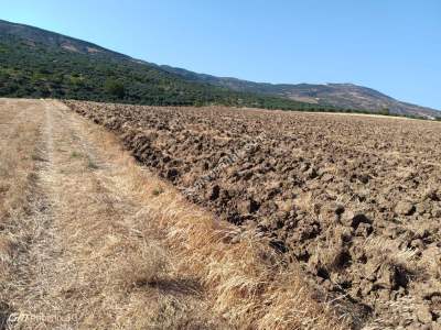 Tekirdağ Şarköy İğdebağları Mahallesi Satılık Tarla 7