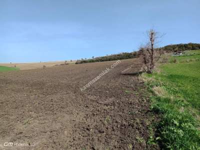 Tekirdağ Şarköy İstiklal Mahallesi Satılık Tarla Hisses 3