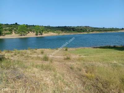 Tekirdağ Şarköy İstiklal Mahallesi Satılık Tarla 14